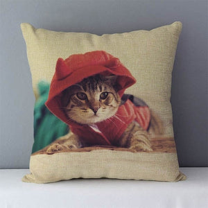 Cat pillow case